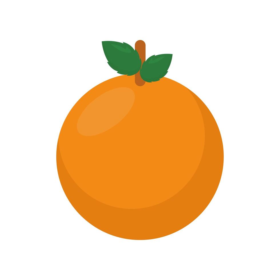 healthy orange icon vector