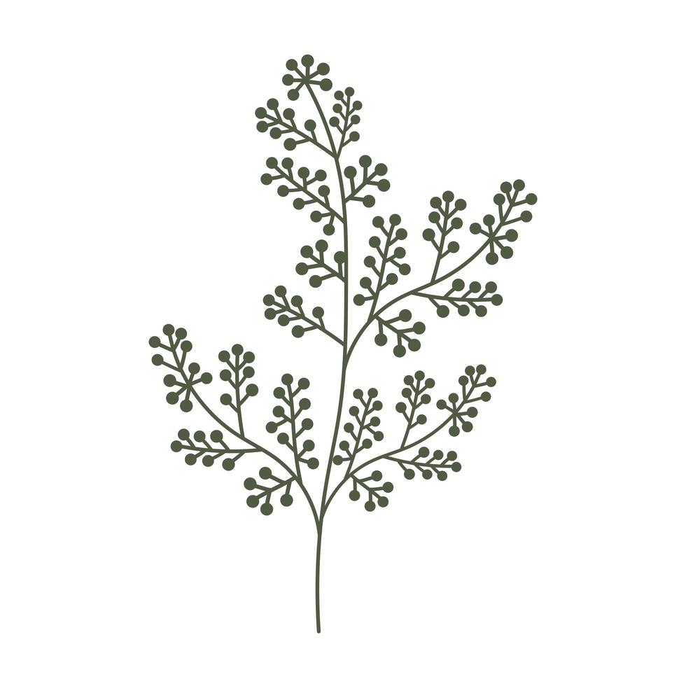aesthetics plant illustration vector