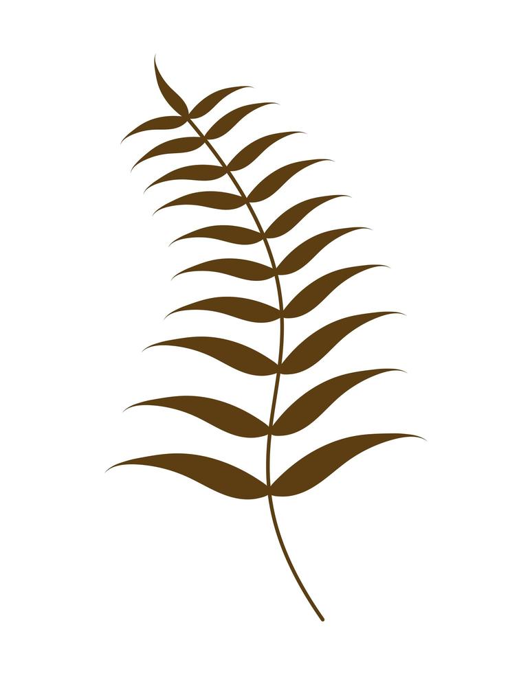botanical art illustration vector
