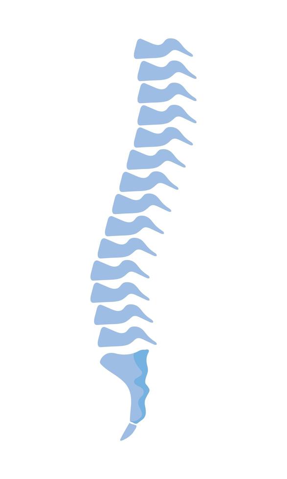 normal column joints vector