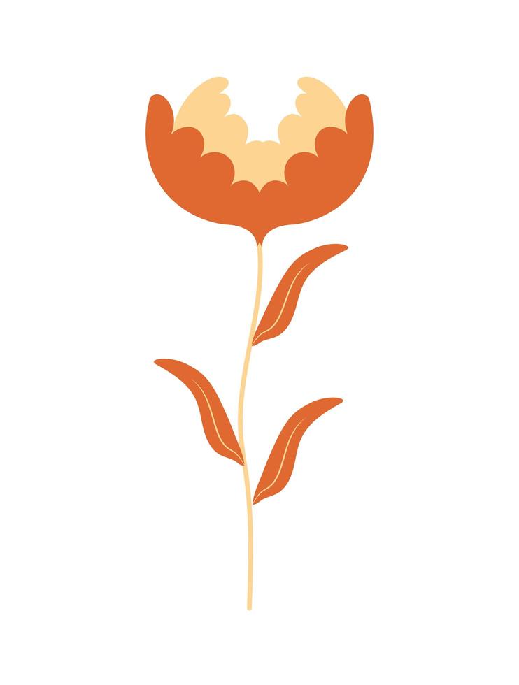 icono de flor de naranja vector