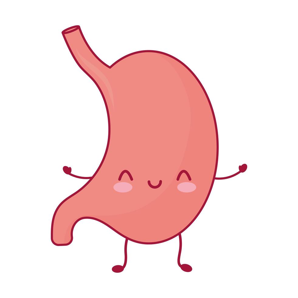 smiling stomach illustration vector