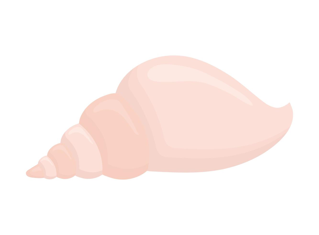 pink seashell isolated vector
