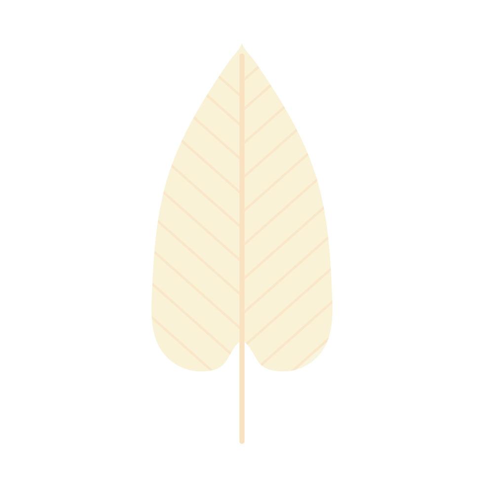 leaf with a beige color vector