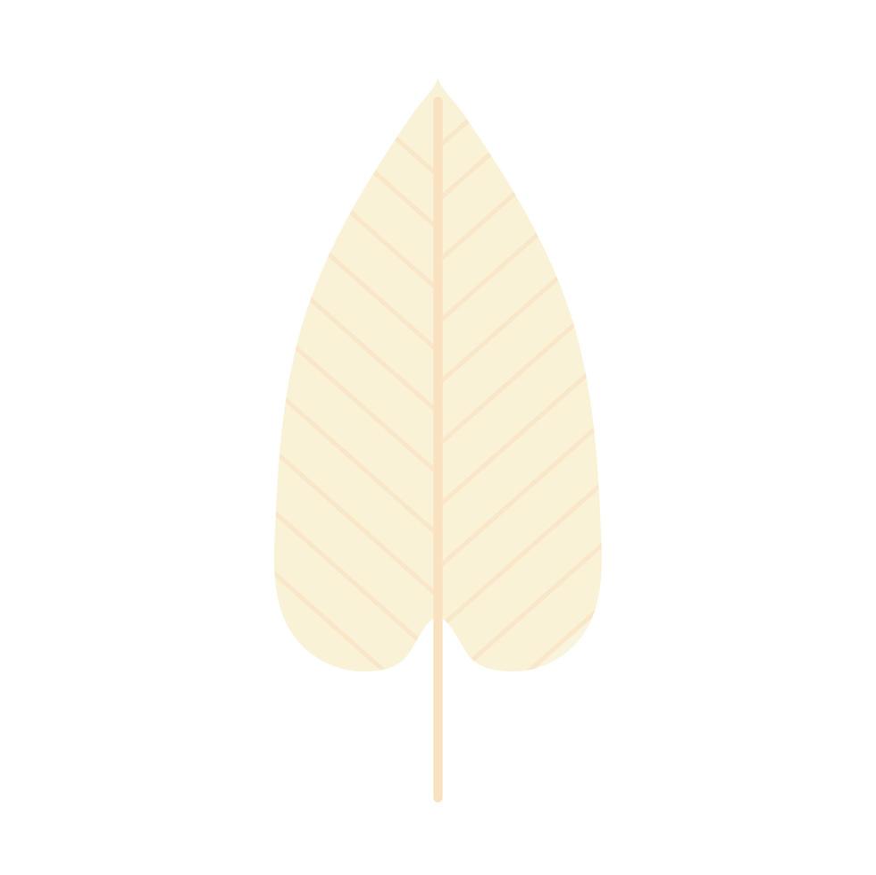 leaf with a beige color vector