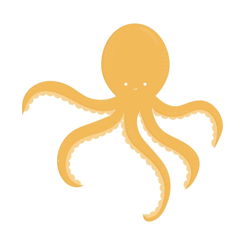 octopus on a white background vector