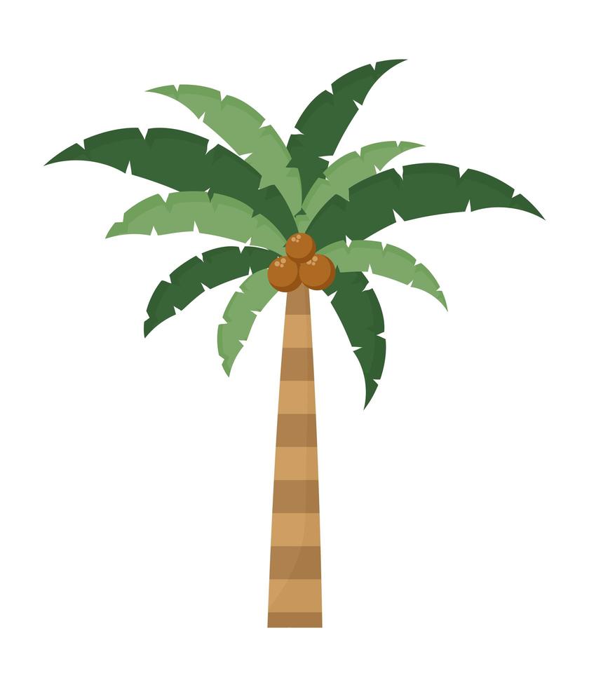 palmera aislada vector