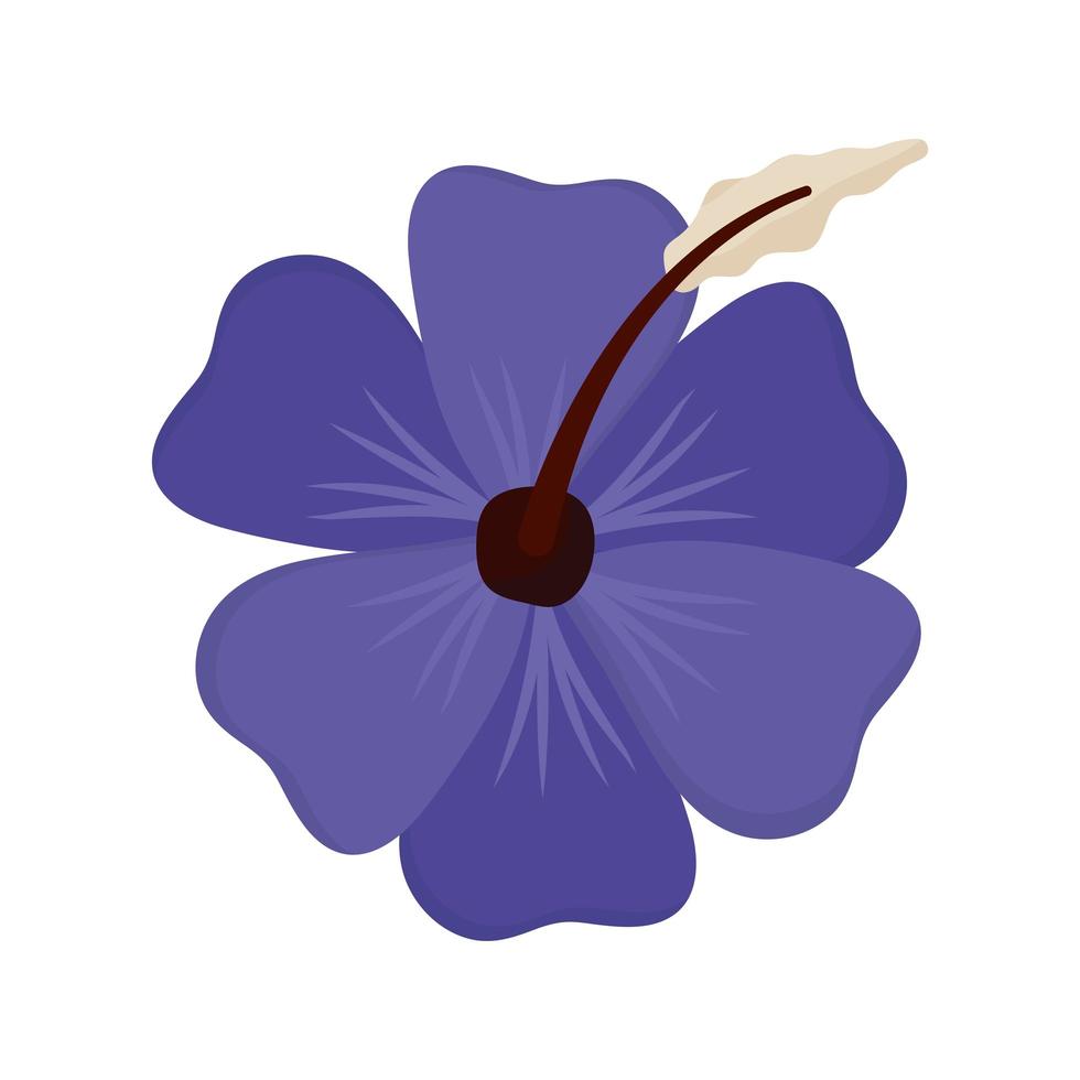 violet flower isolated vector