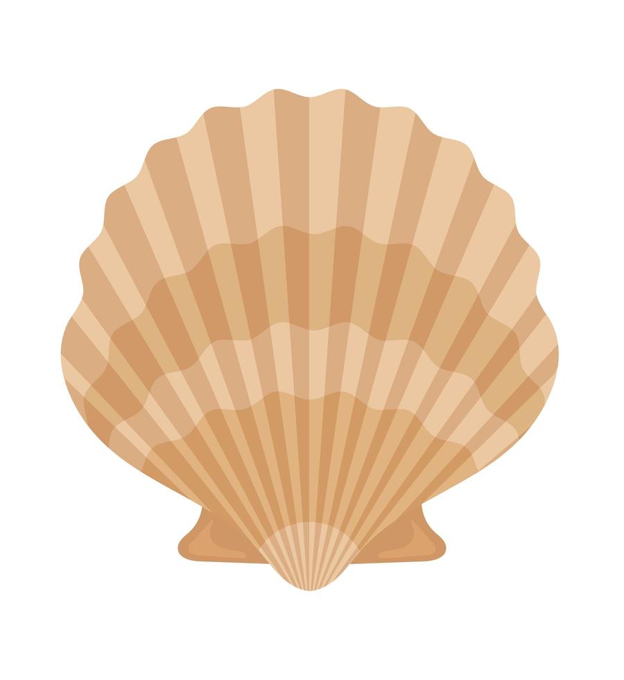 cute clam icon vector