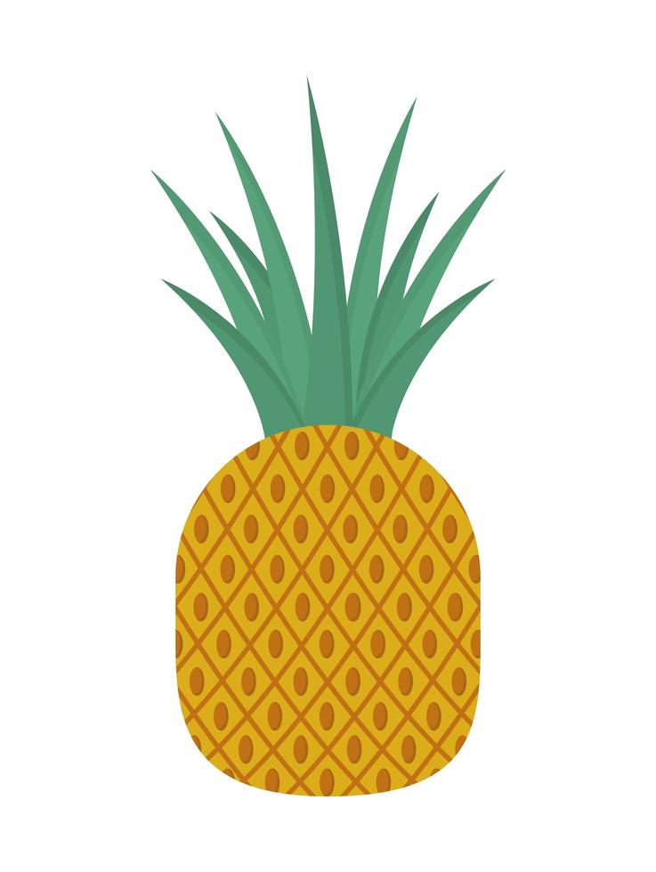 pineapple fresh fruit vector