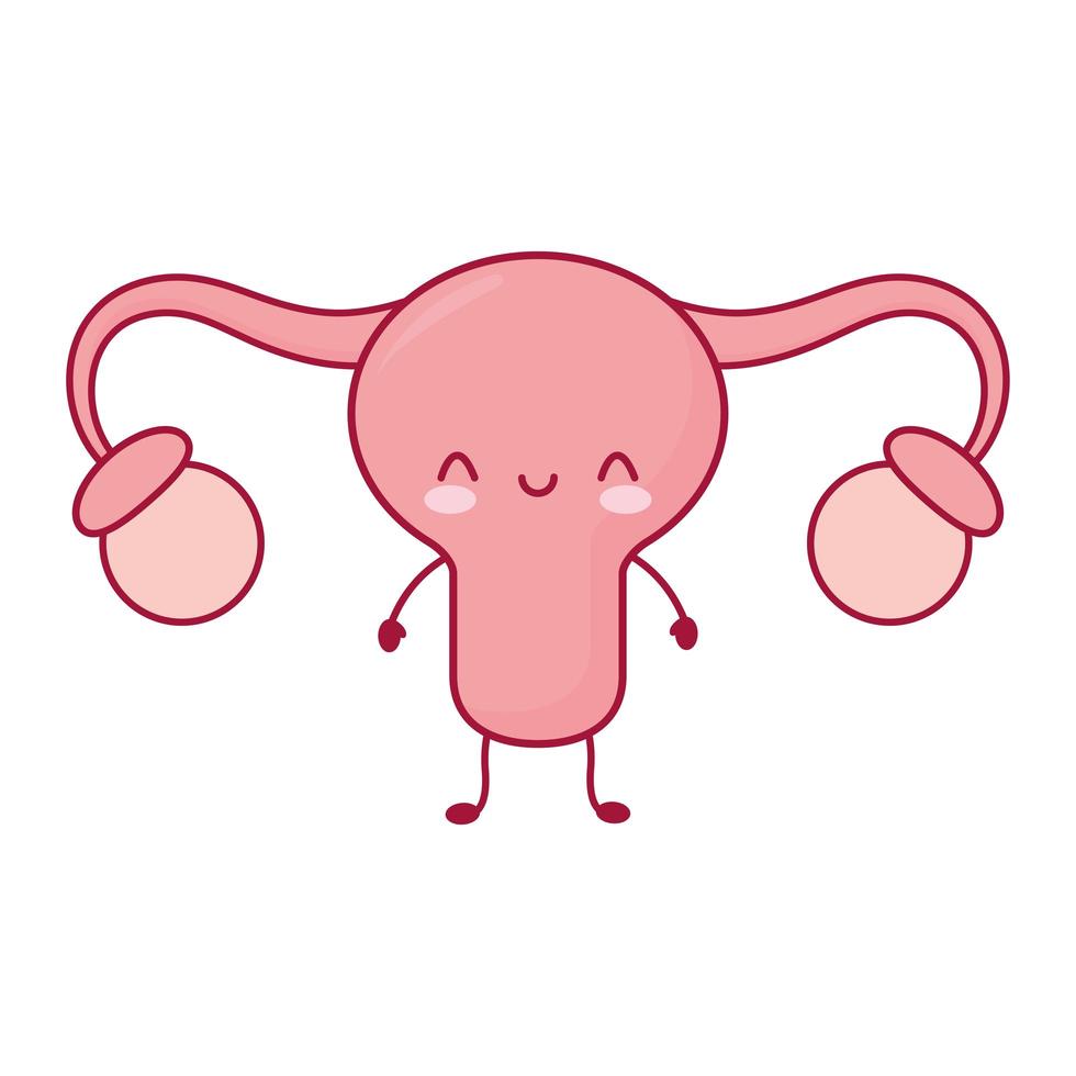 smiling uterus isolated vector