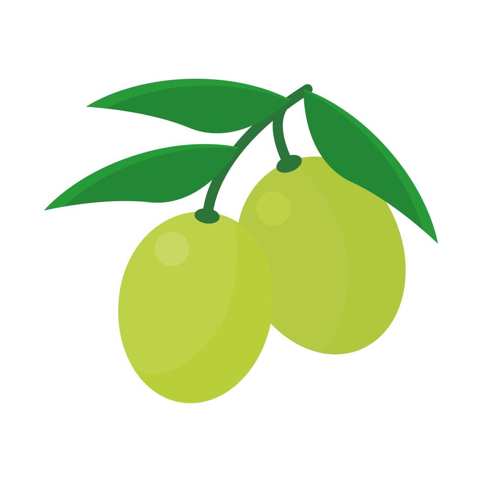 icono de aceituna saludable vector