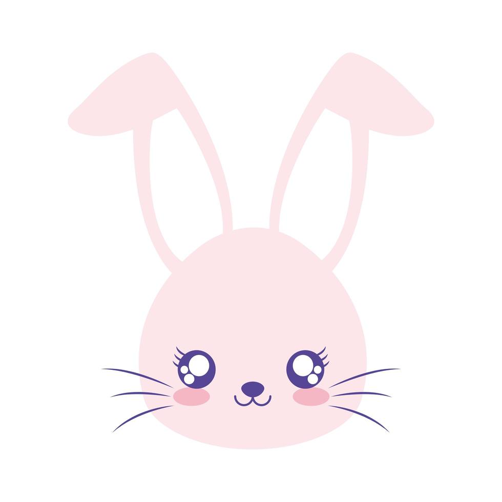 rabbit over a white background vector