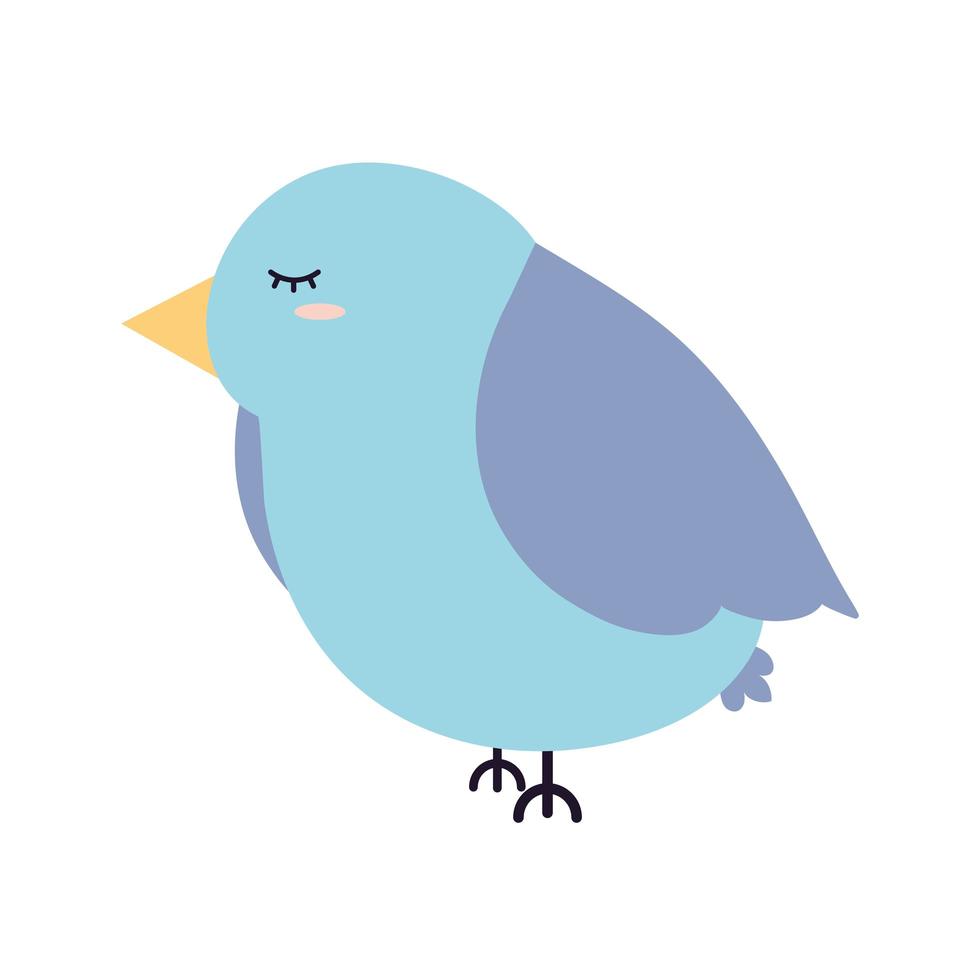 lindo pájaro azul sobre un fondo blanco vector