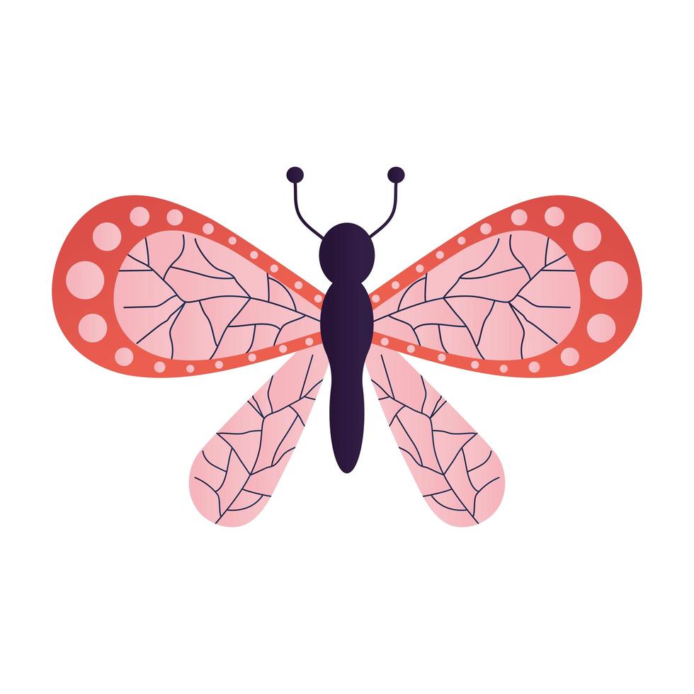 beautiful butterfly with a pink and red color vector