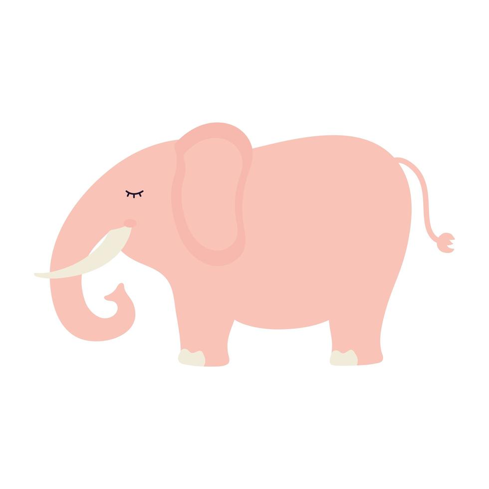 cute elephant on a white background vector