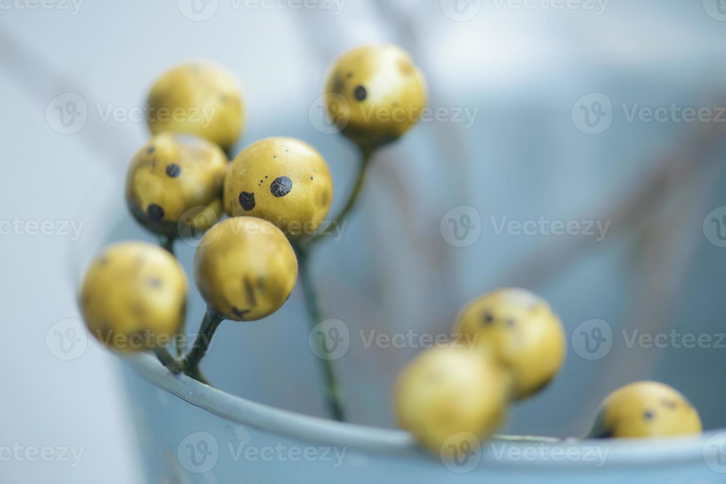 Branches of trees with yellow berries. Macro photo, selective focus. Close-up, abstract photo. Floral background. photo