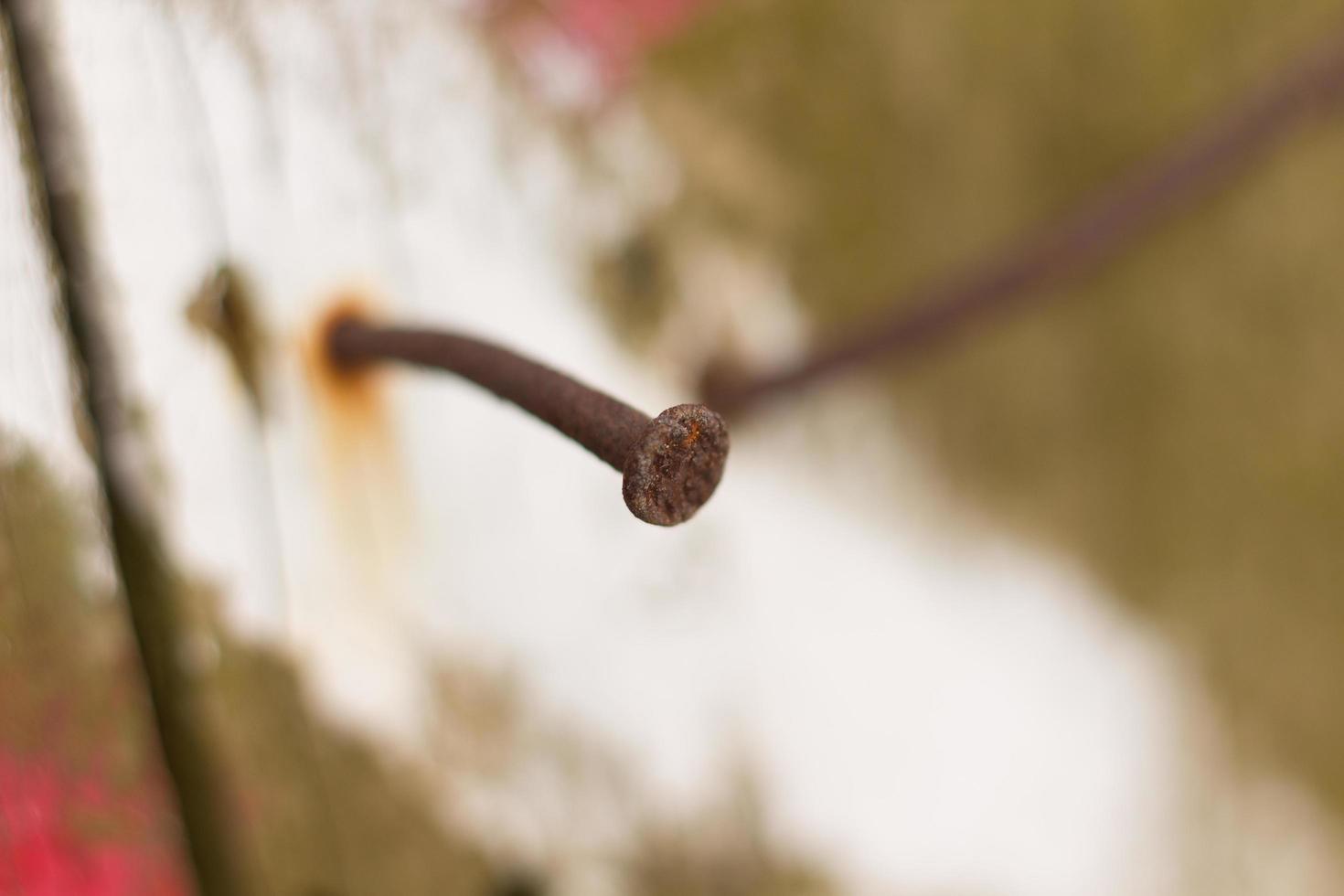 Clavo oxidado martillado en un tronco de madera foto