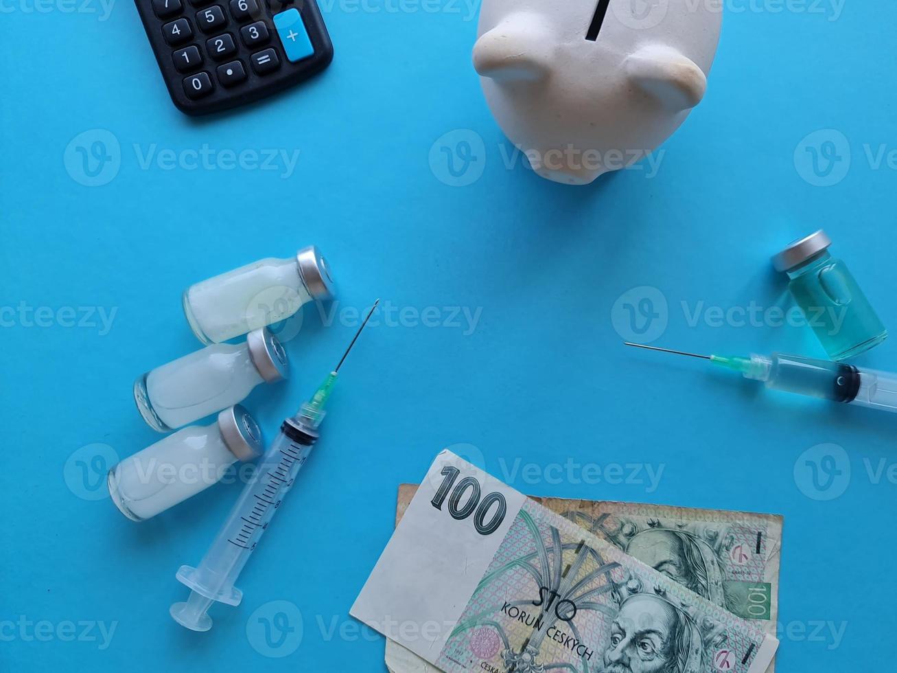 investment in health care and vaccination in Czech Republic photo