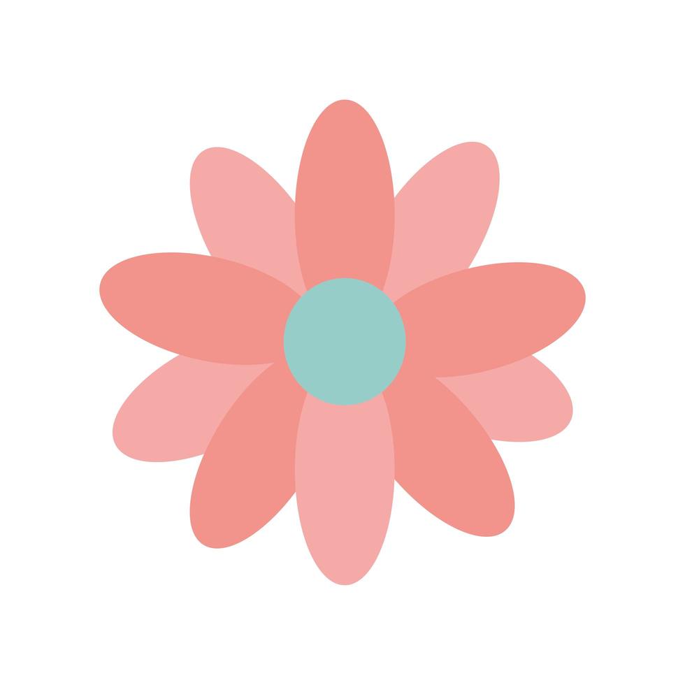 sunflower with a pink color vector