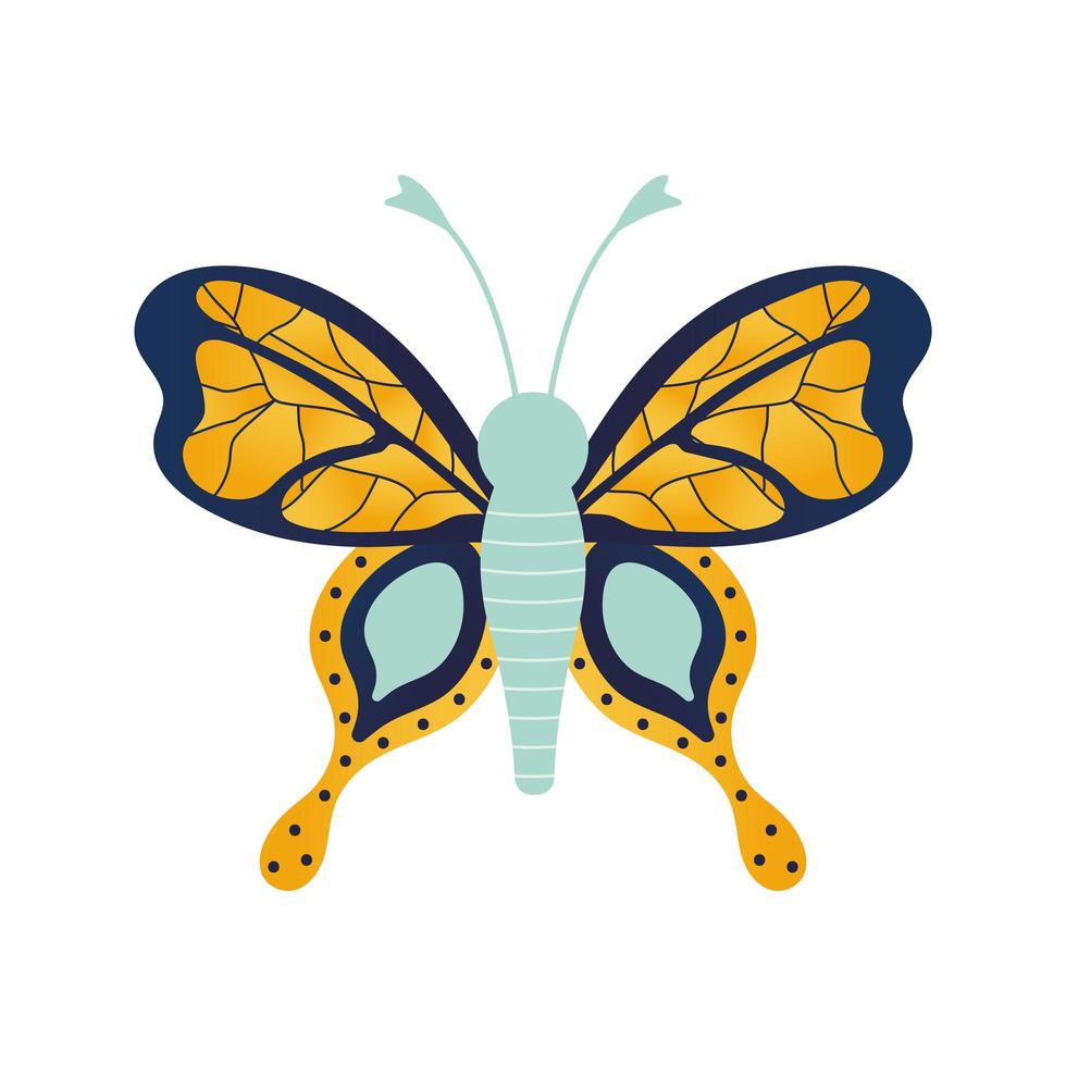 butterfly with a gold color vector