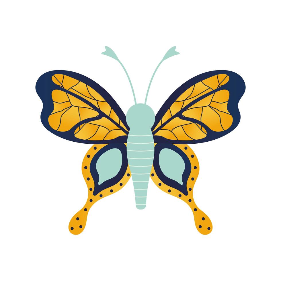 butterfly with a gold color vector