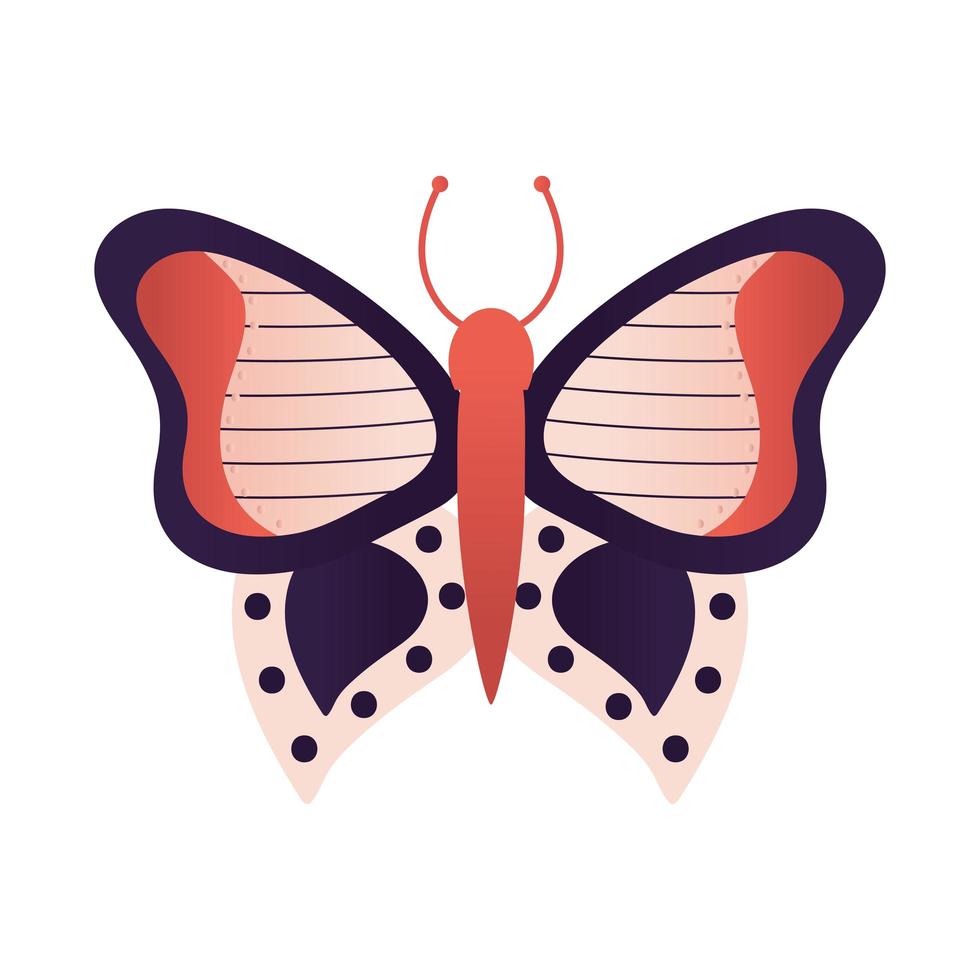 mariposa sobre un fondo blanco vector