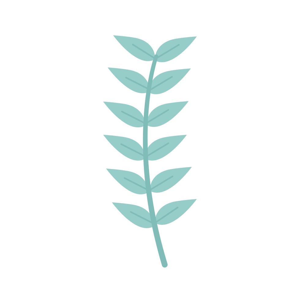 plant with many green leaves vector