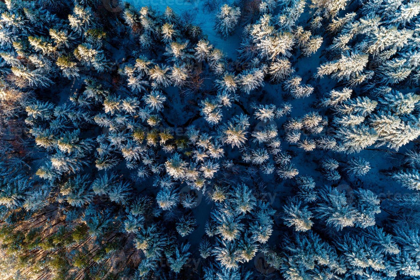 hermoso bosque de cuento de hadas de invierno cubierto de nieve por la mañana disparado por un avión no tripulado. foto