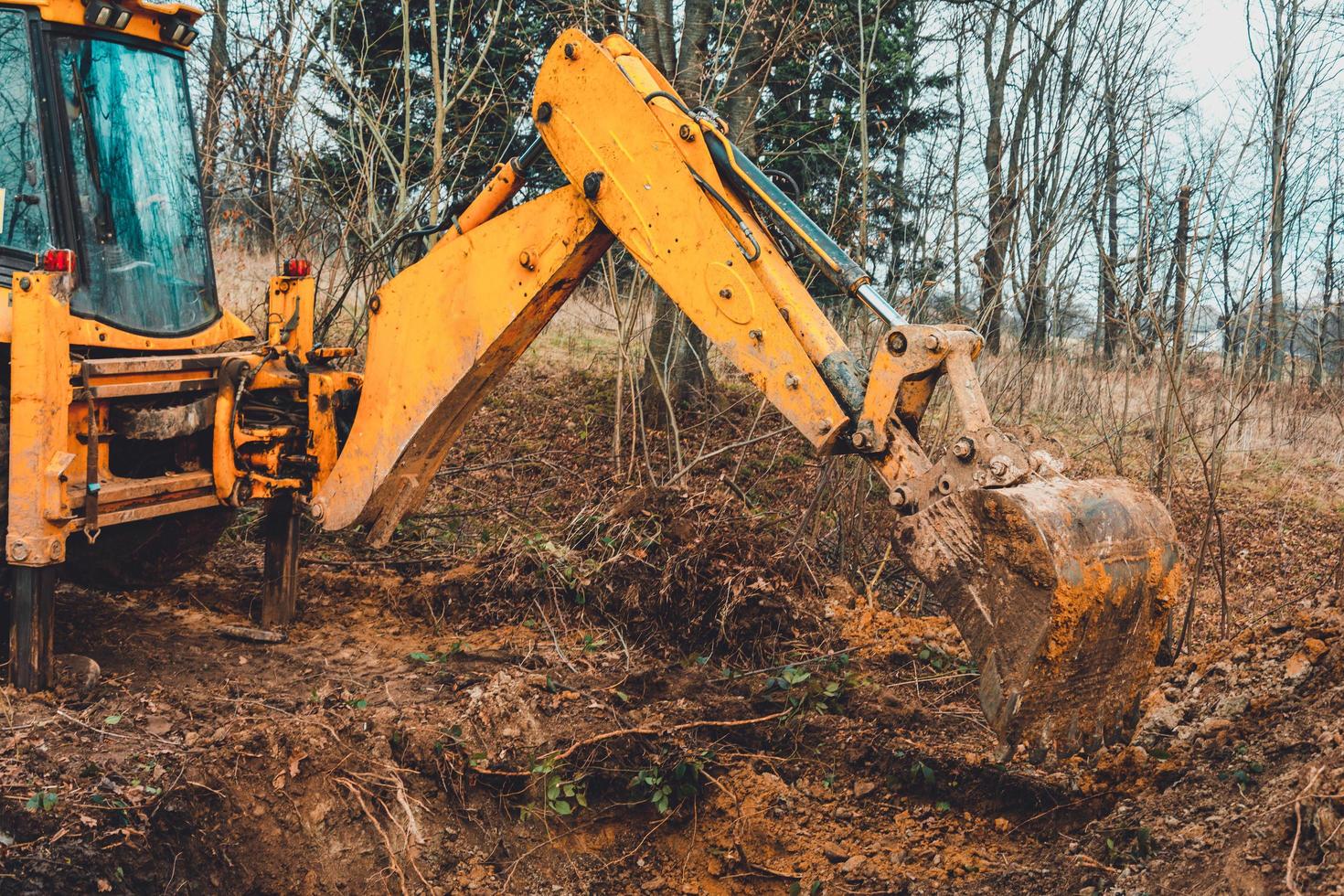 la excavadora excava tierra en el bosque y arranca las raíces de los árboles. foto