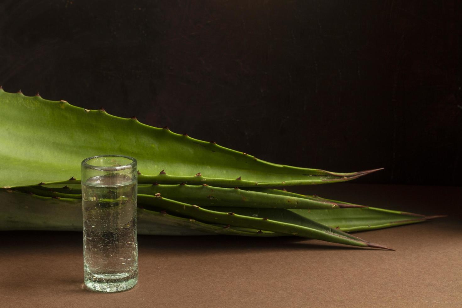 Delicious mezcal alcoholic beverage assortment background photo