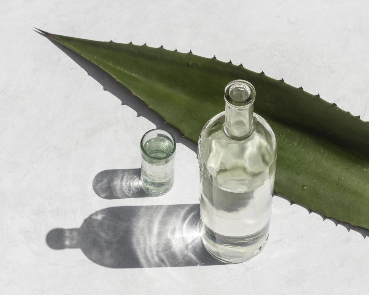 delicioso mezcal surtido de bebidas alcohólicas antecedentes foto