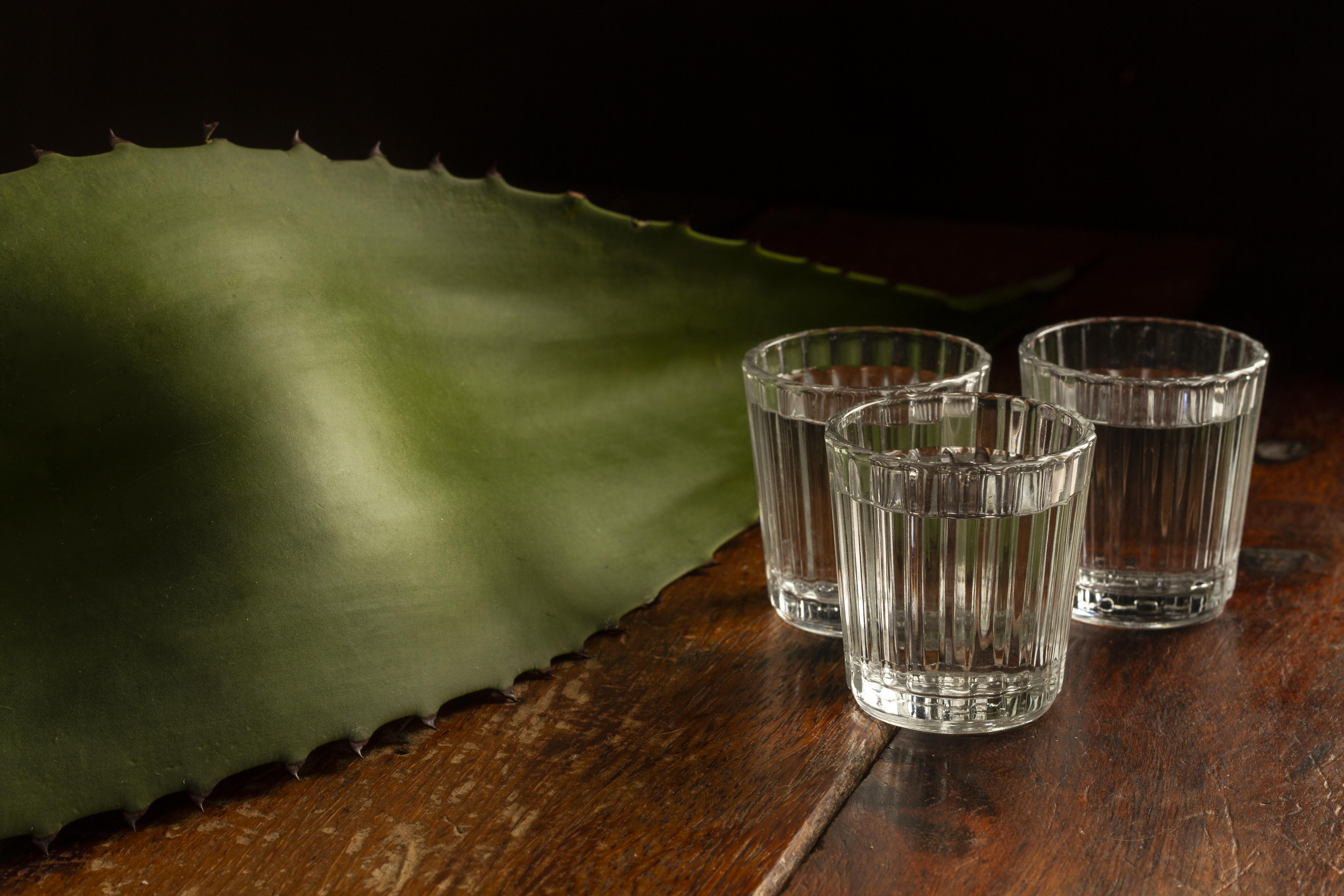 Mezcal Imágenes, Fotos y Fondos de pantalla para Descargar Gratis