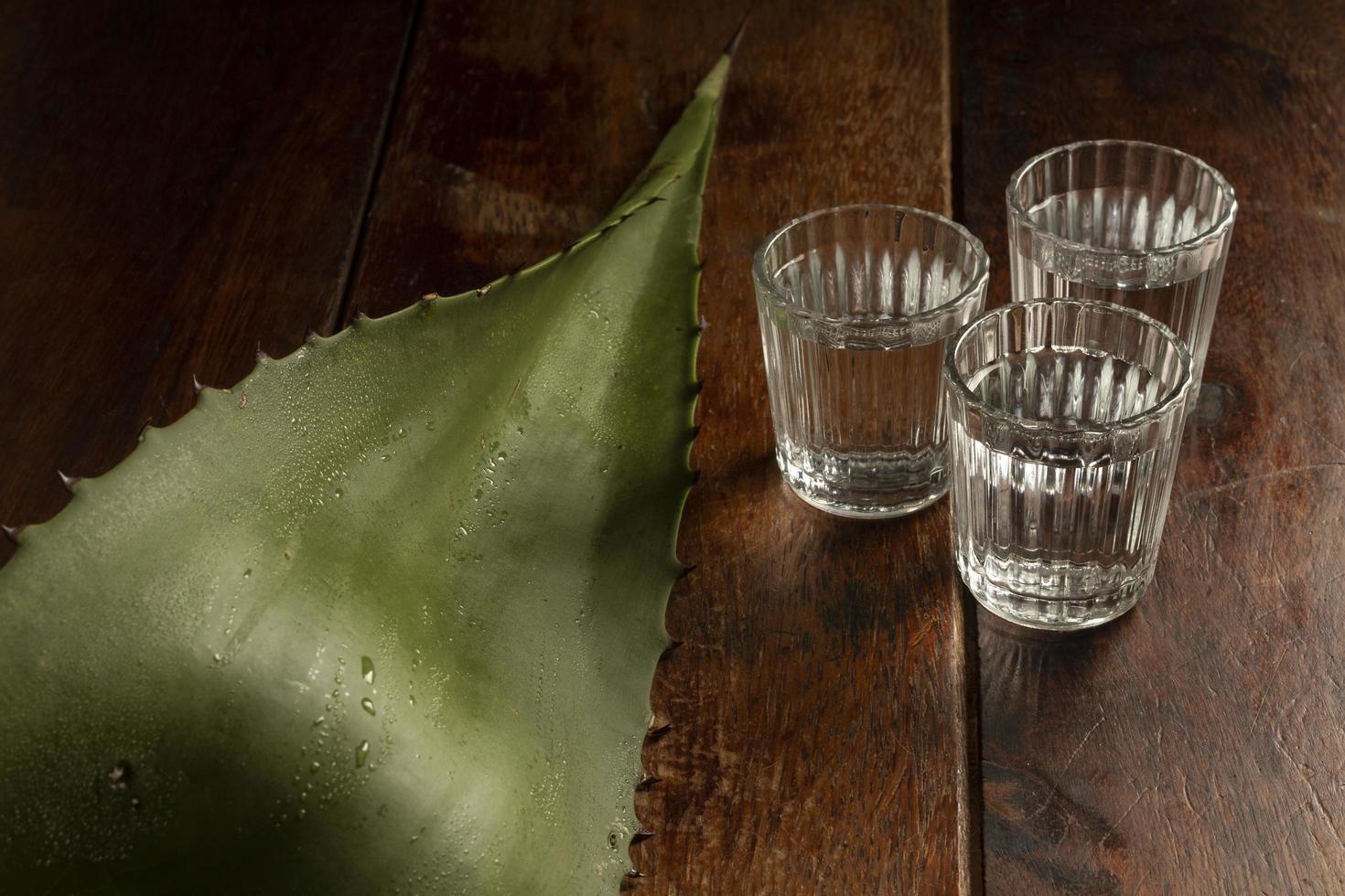 Delicious mezcal alcoholic beverage assortment background photo