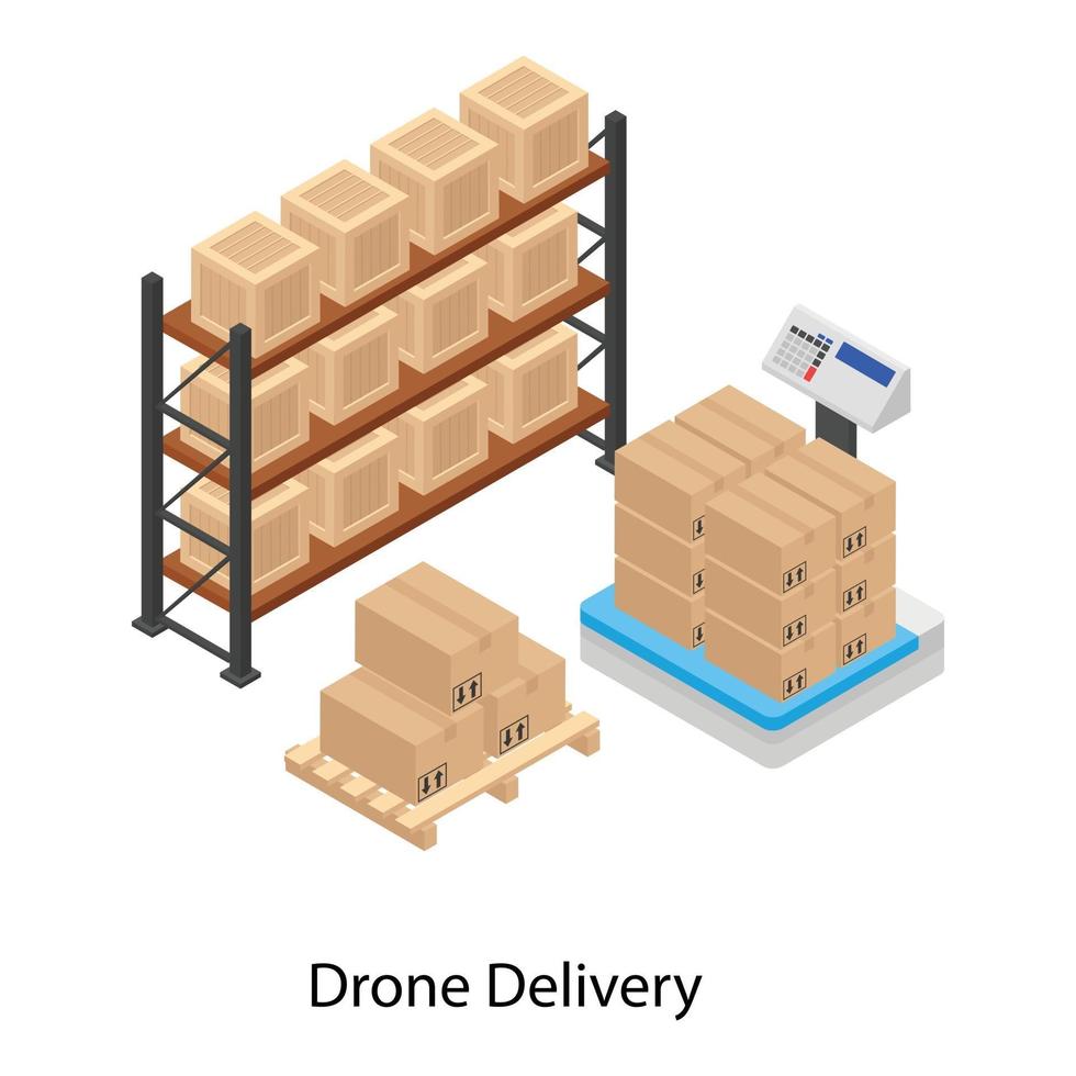 Cargo Packs and Drone Delivery vector