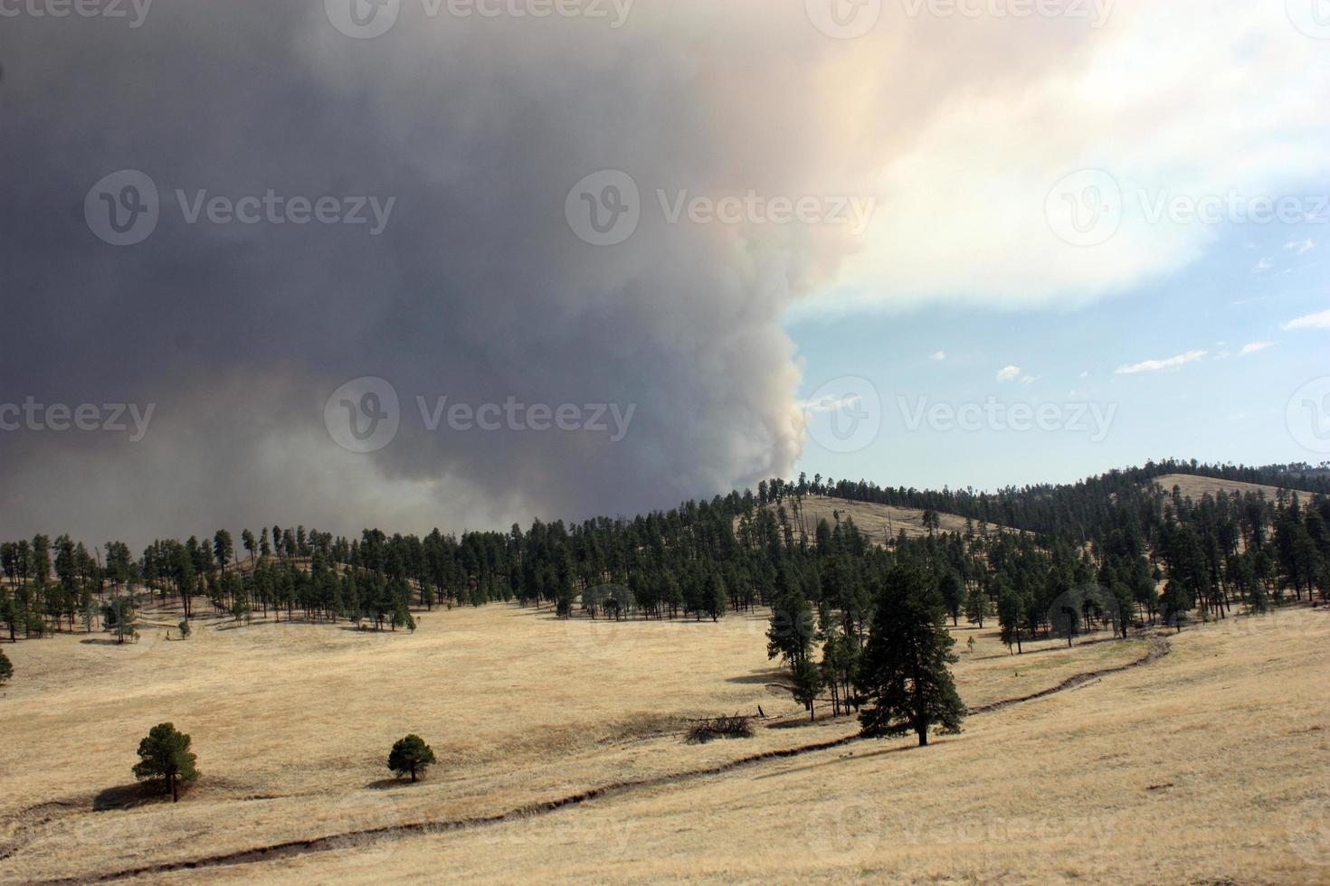 Prado reseco y árboles en la parte delantera ondulante humo del fuego Johnson en el bosque nacional de Gila foto