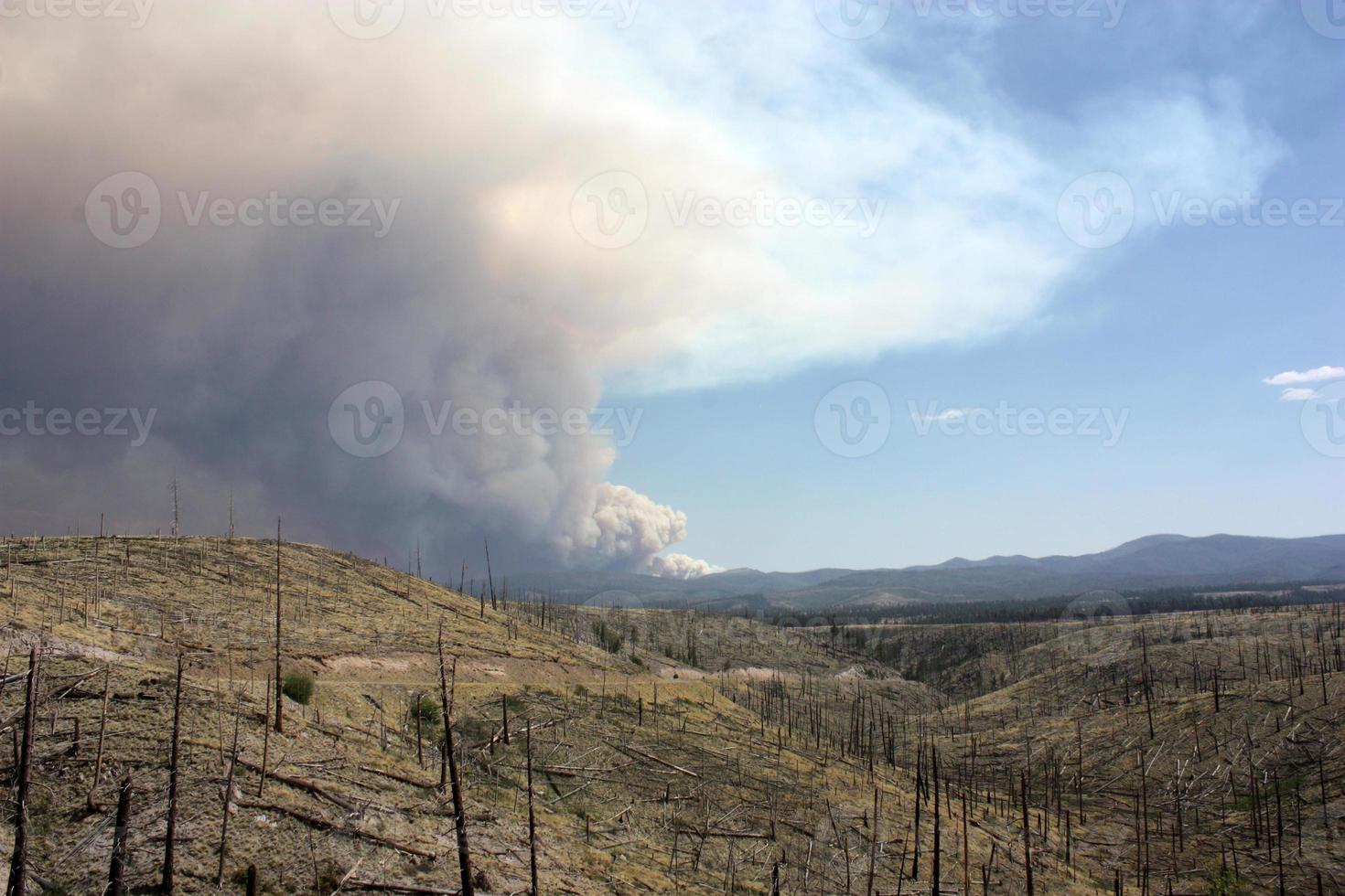 Evidencia de un antiguo incendio forestal en el gila nf con ondulaciones de humo del actual incendio de Johnson en segundo plano. foto