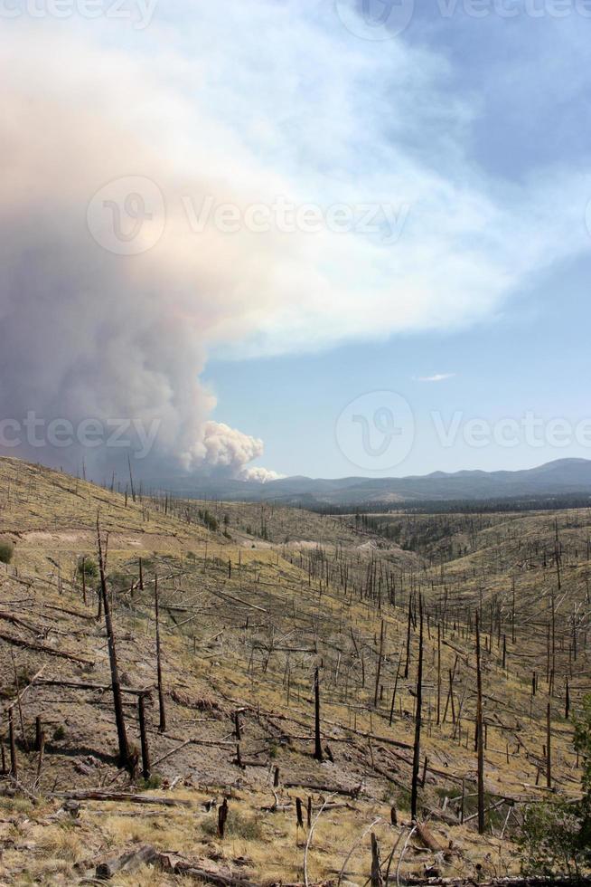 Evidencia de un antiguo incendio forestal en el gila nf con ondulaciones de humo del actual incendio de Johnson en segundo plano. foto