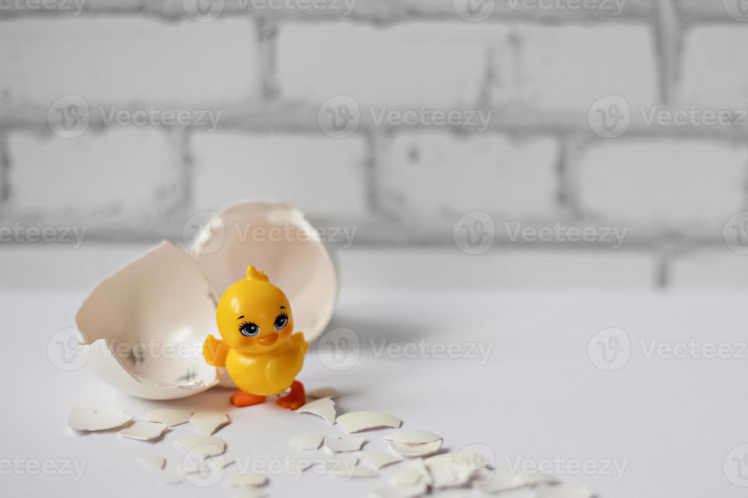 White egg shell of a broken chicken egg photo