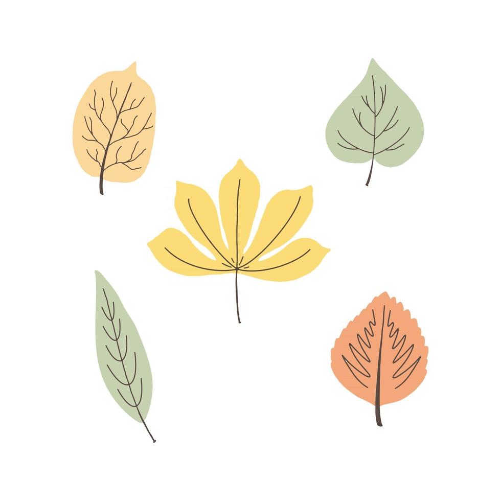 conjunto de hojas de otoño multicolores aislado sobre un fondo blanco. ilustración vectorial en estilo dibujado a mano. colección de garabatos simples en colores pastel vector