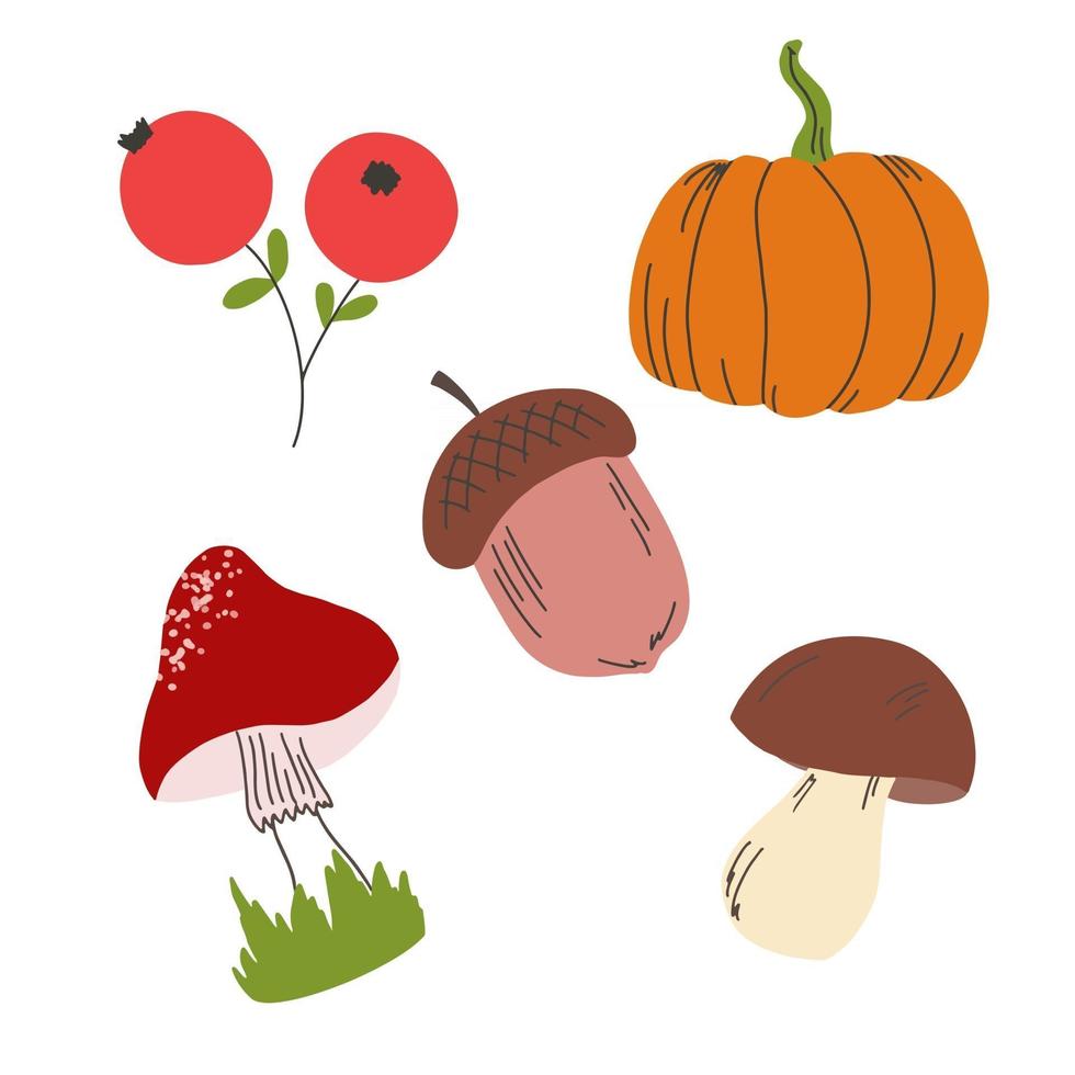 otoño con calabaza, setas, arándanos y bellota aislado en un fondo blanco. ilustración vectorial en estilo de dibujo a mano vector