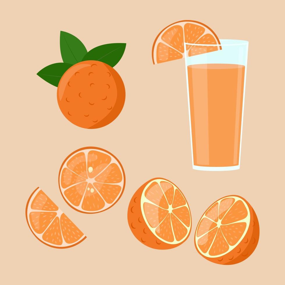 Orange juice isolated. Slices in cut set. Half of orange fruit. Vector illustration