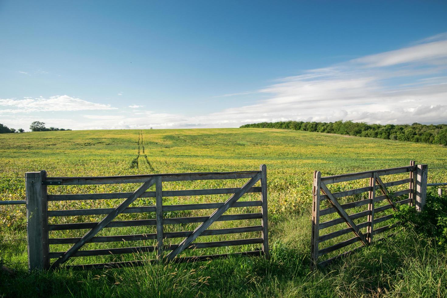 una puerta de campo foto