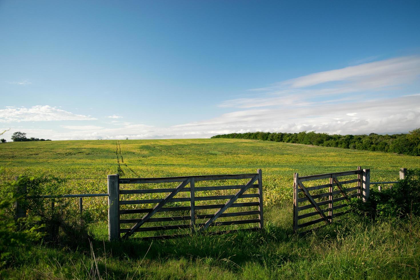 A Countryside Gate photo