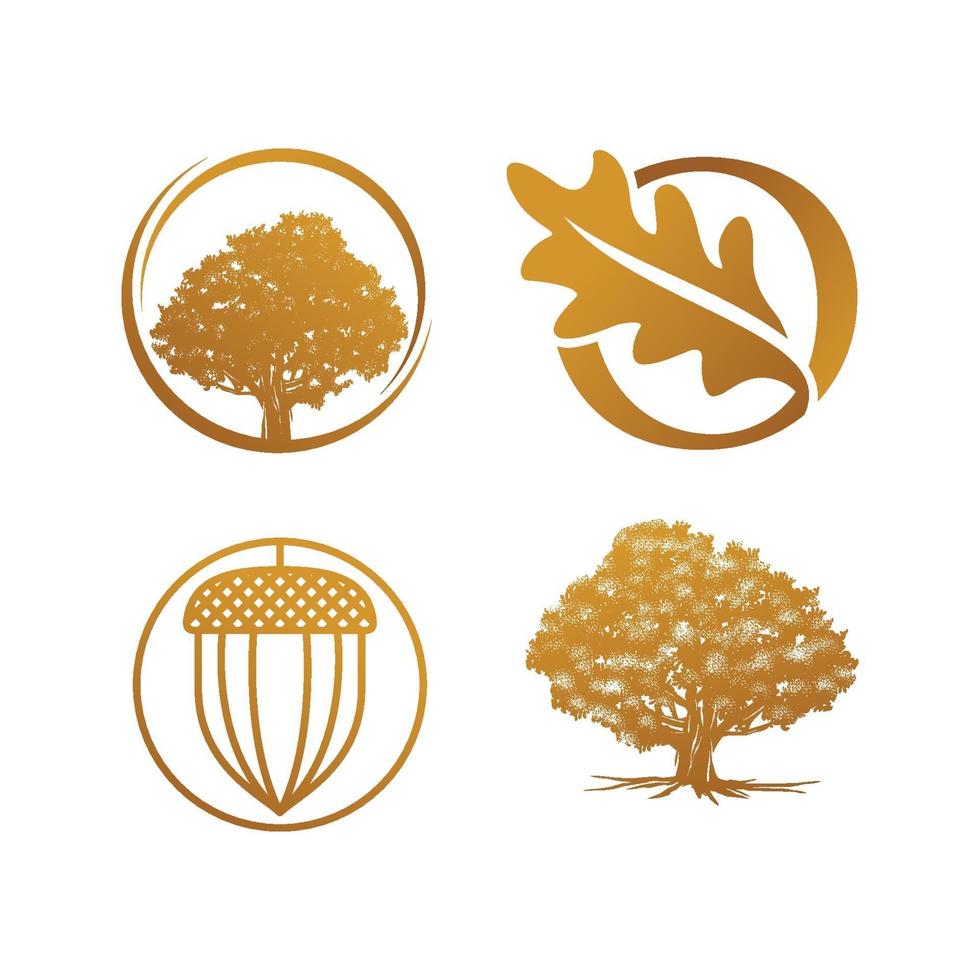 oak gold luxury concept logo vector template set