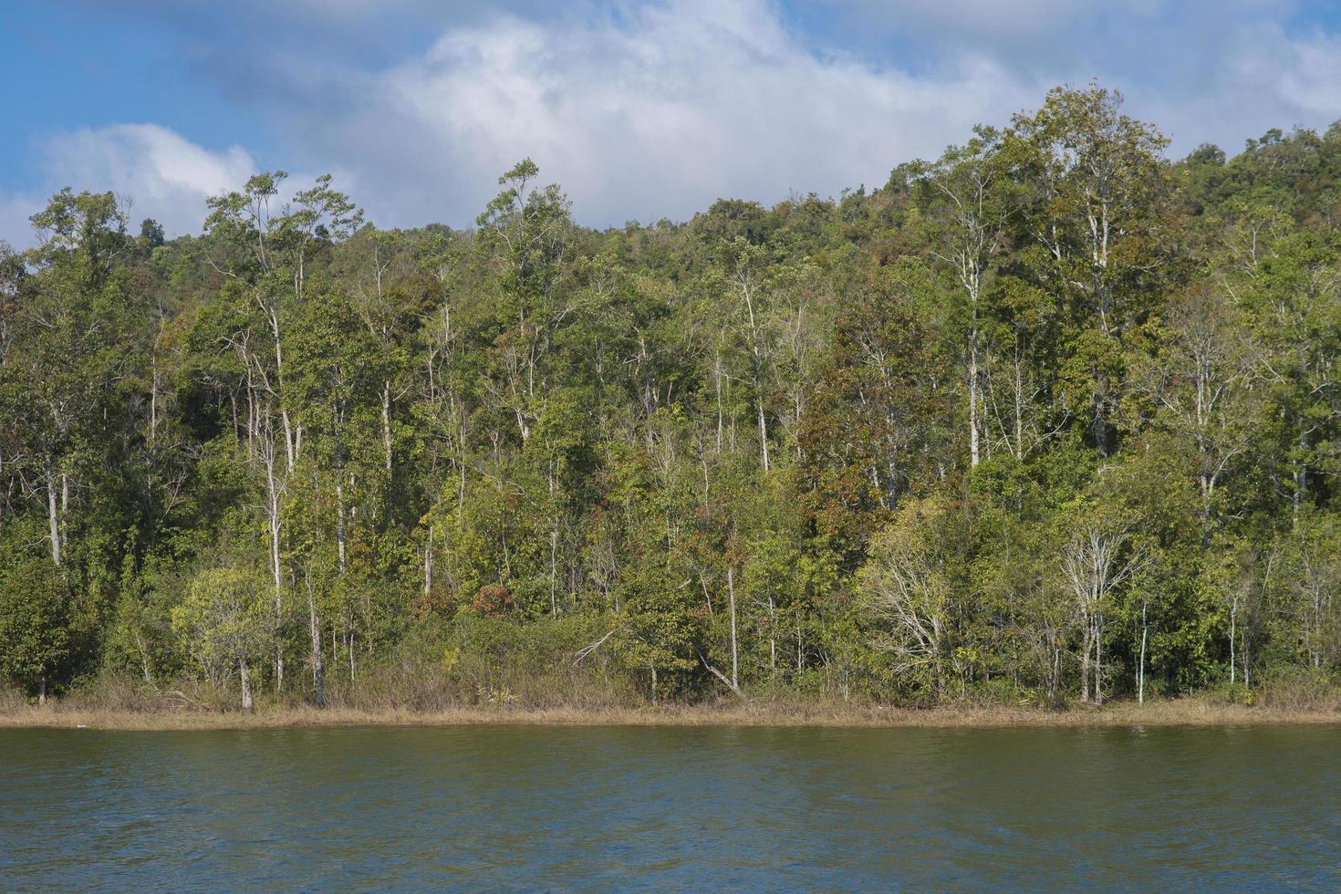 Beautiful view of forest with lake against blue sky photo