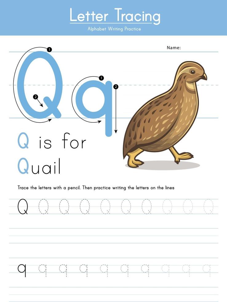 Q for Quail vector