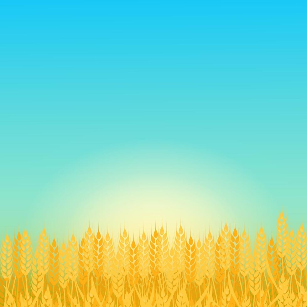 paisaje soleado de verano con un campo de trigo maduro degradado estilo plano diseño ilustración vectorial. hermoso fondo para sus necesidades. día soleado en el campo de trigo. vector