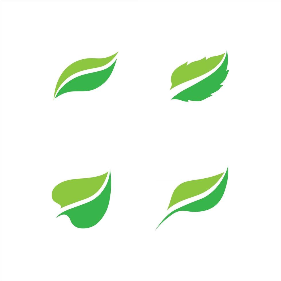 Tree leaf vector and green logo design friendly concept