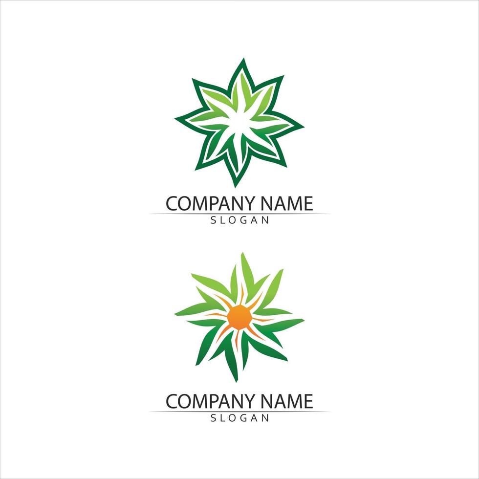 Tree leaf vector and green logo design friendly concept